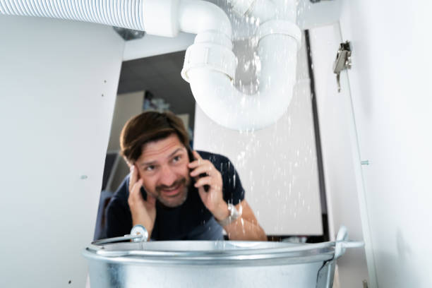Best Clogged Drain Plumber  in Lake Wynonah, PA
