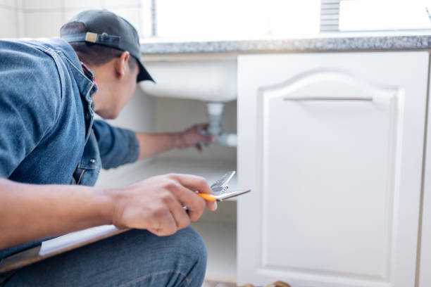 Best Plumbing Services Near Me  in Lake Wynonah, PA